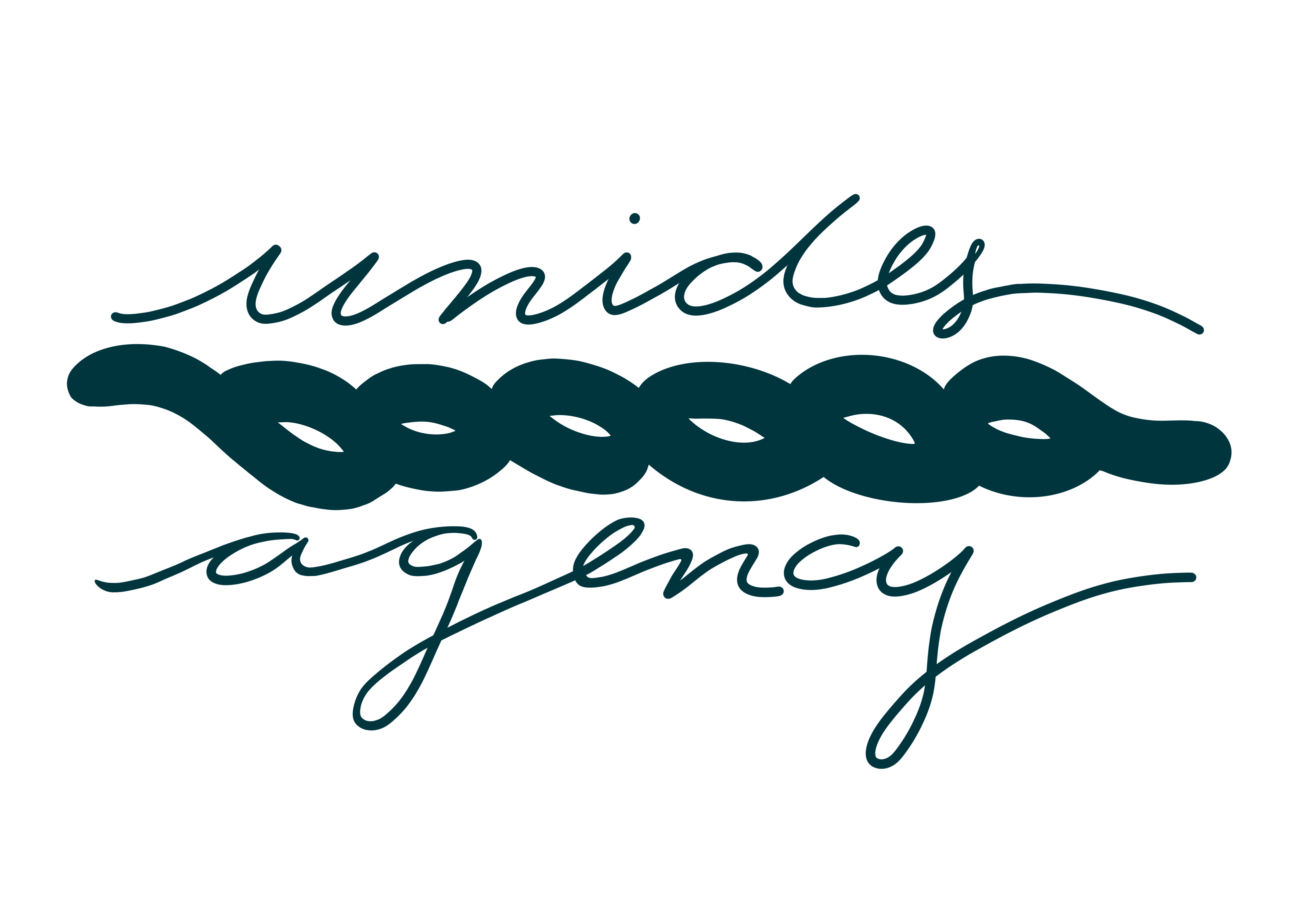 Unides Agency